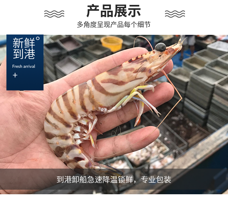 微信图片_20211210145911.png