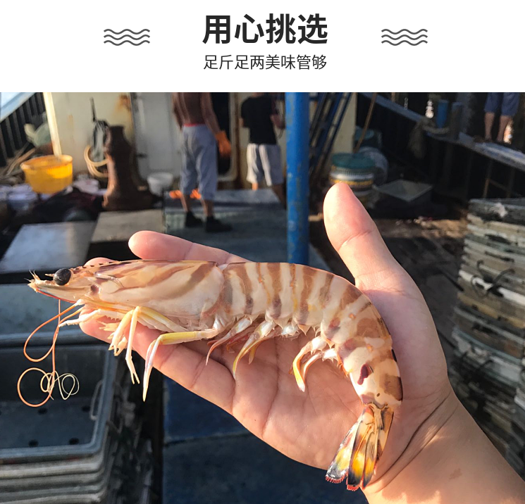 微信图片_20211210145902.png