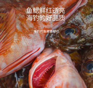 东山岛·石翁鱼