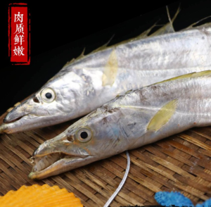 东山岛·黄金带鱼